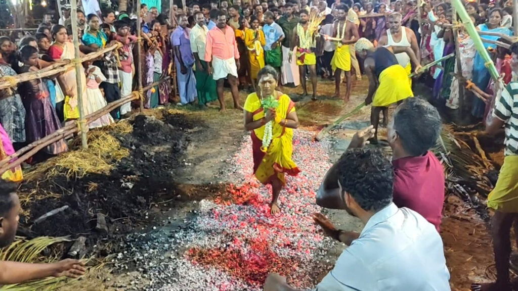 நாகை அருகே ஆலங்குடி செல்லமுத்து மாரியம்மன் ஆலய வைகாசி தீமிதி திருவிழா