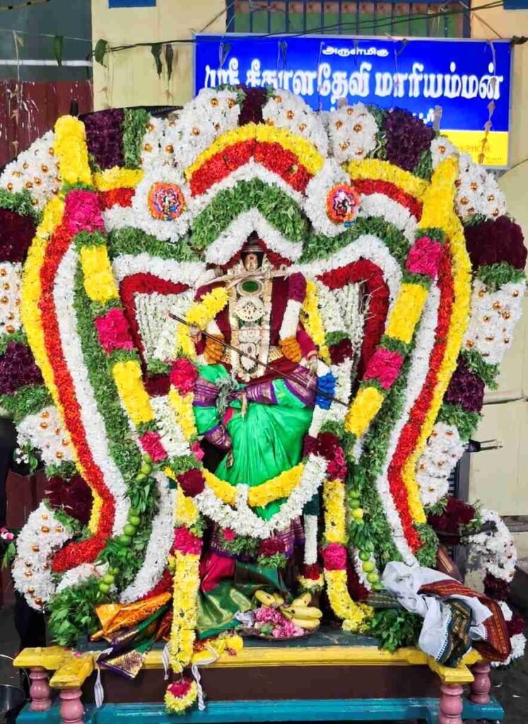 திருமருகல் அருகே காரையூர்சீதாளதேவி மாரியம்மன் கோவில் திருவிழா..
