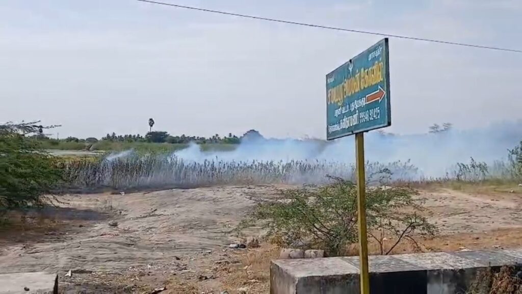 குளத்தில் கொட்டப்படும் கோழி இறைச்சிக் கழிவுகள்; புகையால் வாகன ஓட்டிகள் அவதி