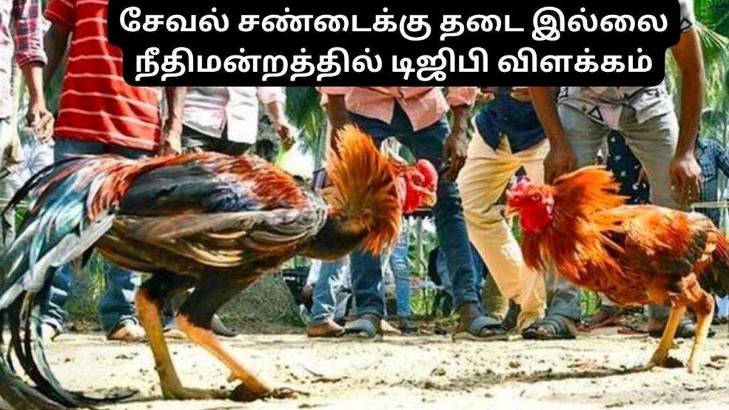 சேவல் சண்டைக்கு முழு தடை இல்லை: உயர் நீதிமன்றத்தில் டிஜிபி தரப்பு விளக்கம்